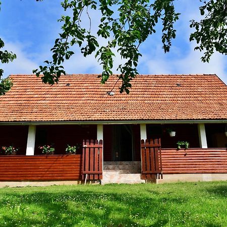 House Luna Apartment Rakovica Exterior photo