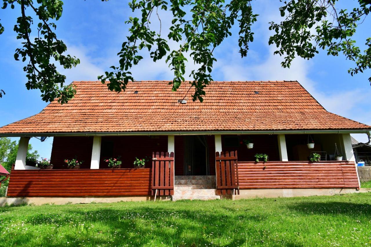 House Luna Apartment Rakovica Exterior photo