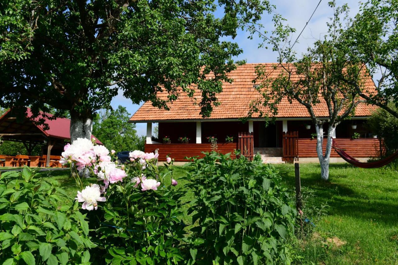 House Luna Apartment Rakovica Exterior photo